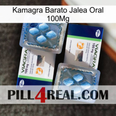 Cheap Kamagra Oral Jelly 100Mg viagra5